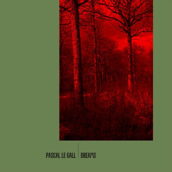 Pascal Le Gall - Landscapes (LP - 25cm)