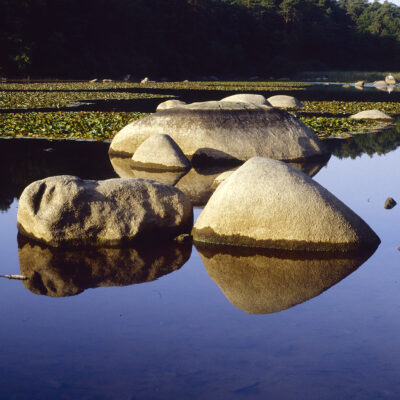 Quelques nouvelles en ce début d&rsquo;année 2026